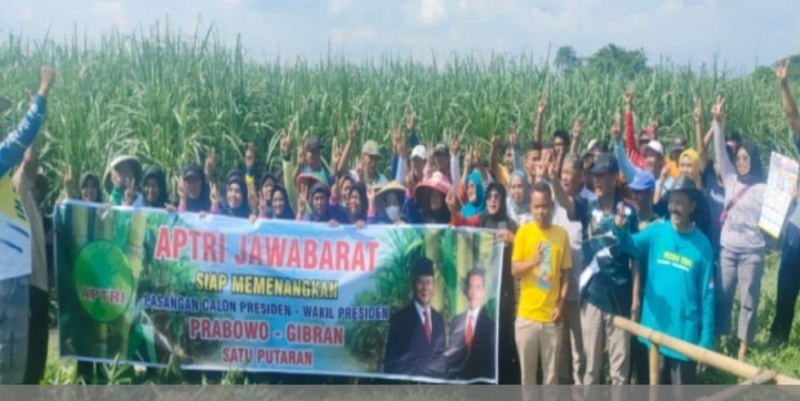 Petani Tebu di Pulau Jawa Solid Menangkan Prabowo-Gibran