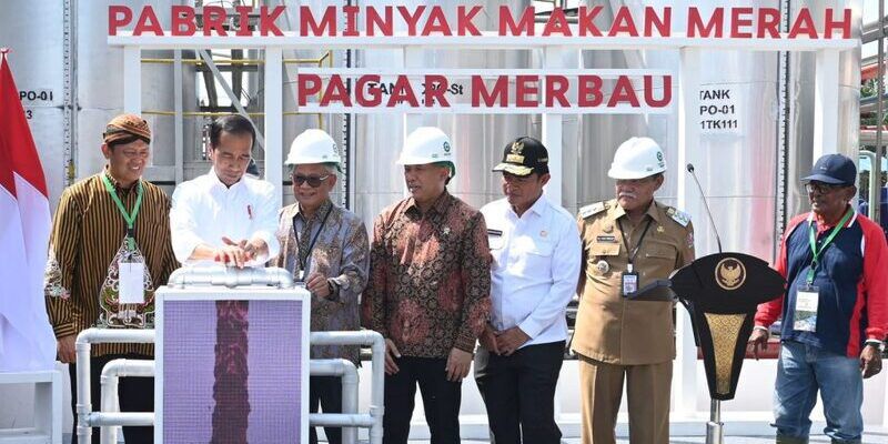 Jokowi Resmikan Pabrik Minyak Makan Merah di Deli Serdang, Segini Kapasitasnya