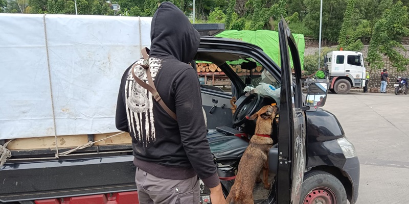 Dibantu Anjing K9, Polisi Gagalkan Penyelundupan Narkoba di Pelabuhan Bakauheni