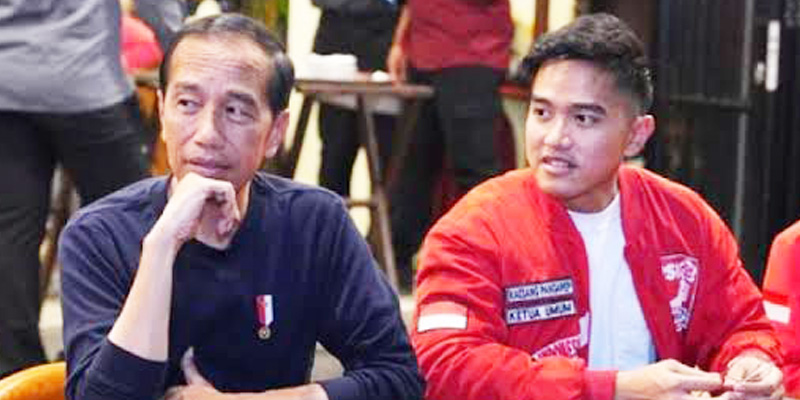 Diusulkan Pimpin Koalisi, Hensat: Itu Ide Jokowi Sendiri