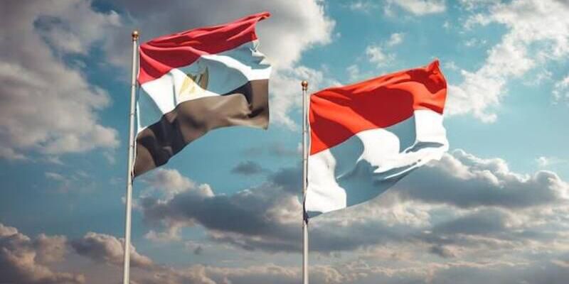 KBRI Kairo Ajak Pelaku Usaha Mesir Hadiri Indonesia-Africa Forum 2024 di Bali