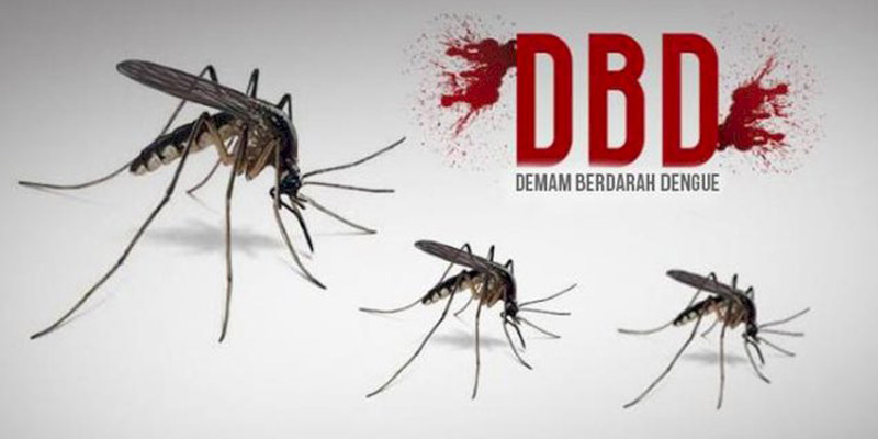 2.098 Warga Terjangkit DBD, Pemkot Bandung Siagakan 41 Rumah Sakit