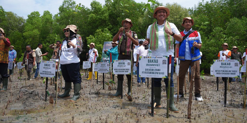 Dukung Mitigasi Perubahan Iklim, Pertamina Rehabilitasi Mangrove di NTT