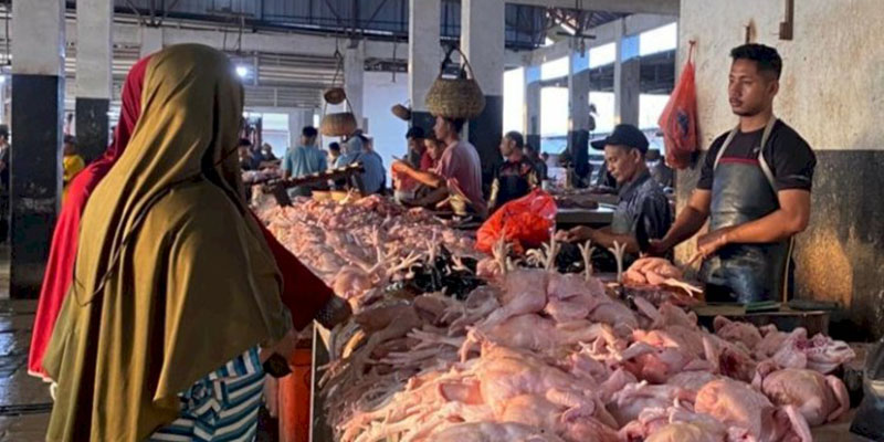 Jelang Ramadan Harga Ayam Potong di Banda Aceh Capai Rp70 Ribu Per Ekor