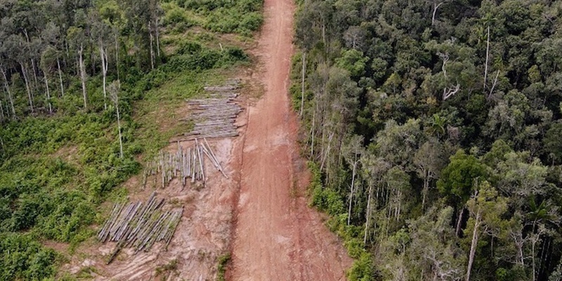 Proyek Pembangunan Jalan di Papua Barat Perlu Diaudit