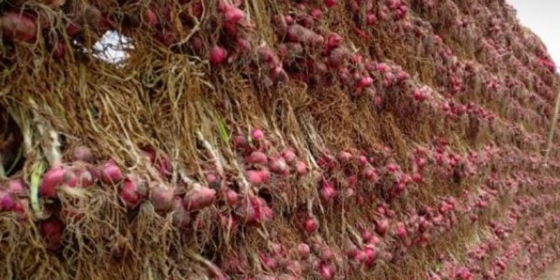 Bawang Merah Meroket di Atas Rp50 Ribu per Kilogram Pasca Lebaran