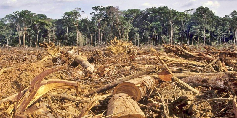 Indonesia Butuh Rp4.000 Triliun Atasi Perubahan Iklim
