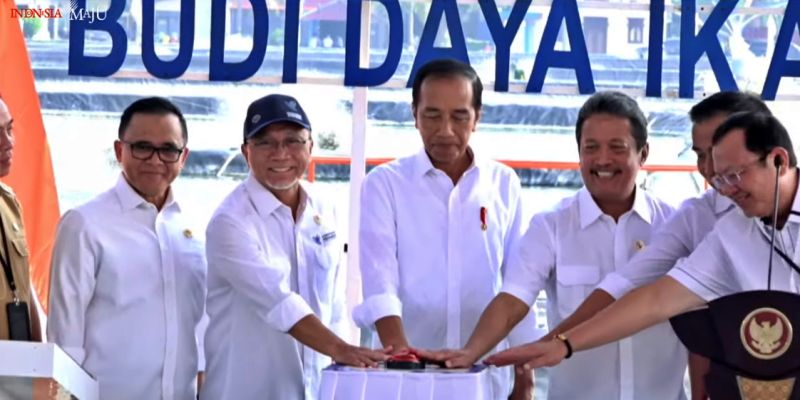 Didampingi Mendag Zulhas, Presiden Jokowi Resmikan Modeling Tambak Budidaya Ikan Nila