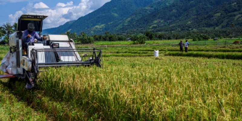 Indonesia Gandeng China untuk Kembangkan Teknologi Pertanian