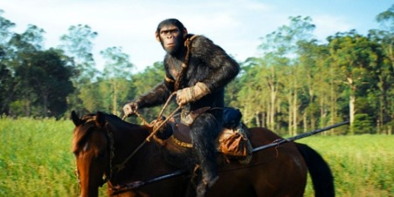 Baru Tayang Beberapa Hari, "Kingdom of the Planet of the Apes" Berhasil Kumpulkan Rp104 Miliar