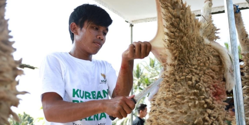 Baznas Kumpulkan 5.108 Hewan Kurban