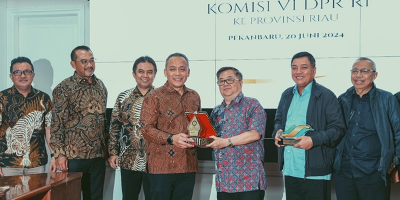 Pembentukan PalmCo Perkuat Ekosistem Sawit Nasional