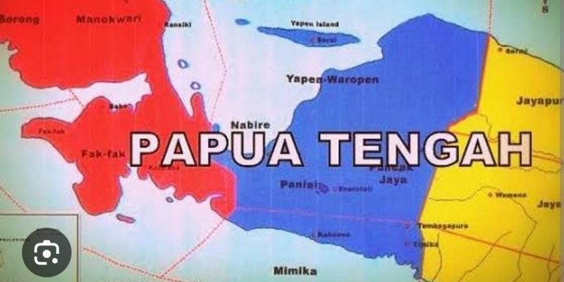 Survei Indo Barometer, Willem Wandik Unggul di Pilgub Papua Tengah