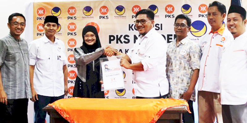 Modal Pengalaman Bisnis, Alfiah Ikut Pilkada lewat PKS-Nasdem