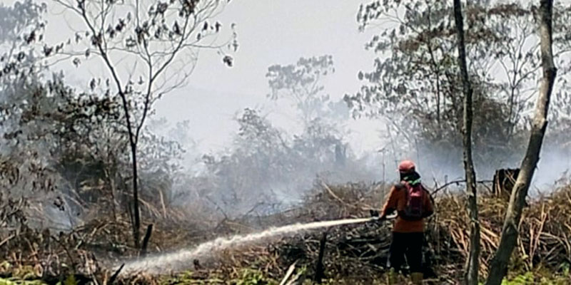 Lebih dari 5 Hektare Lahan Terbakar di Aceh Barat