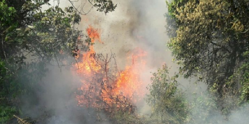 Kebakaran Hanguskan 16 Hektar Lahan di Aceh Selatan