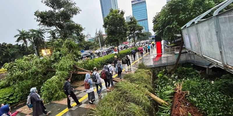 Cuaca Ekstrem di Jakarta, Pengendara Jangan Parkir di Bawah Pohon