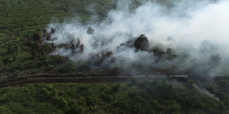 Kebakaran Hutan dan Lahan di Aceh Barat Meluas Mencapai 9,6 Hektare