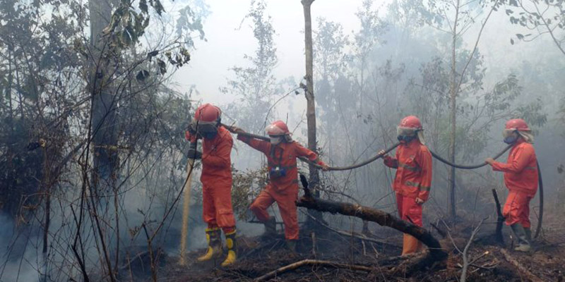 Upaya Pemadaman Karhutla di OKI Terkendala Sumber Air