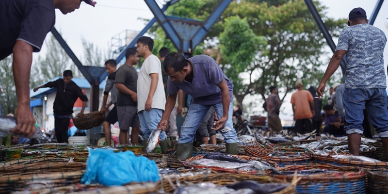 Konsumsi Ikan di Aceh Dongkrak Pertumbuhan Ekonomi