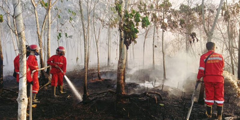 Karhutla di Muara Enim Hanguskan 33 Hektare