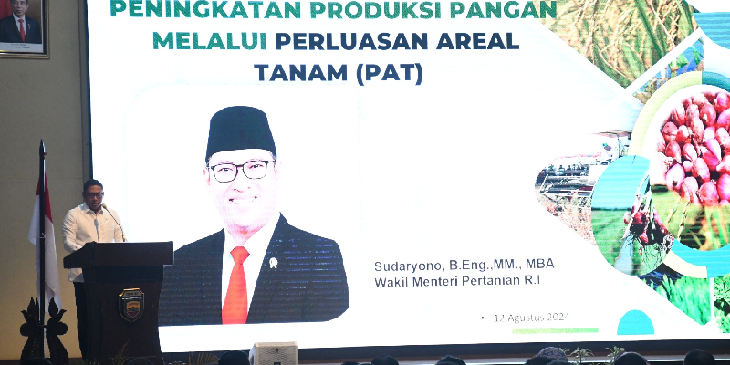 Kementerian Pertanian Targetkan 97.000 Hektare Perluasan Areal Tanam Padi di Sumut