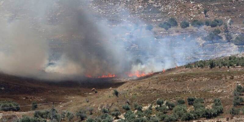 Israel Bakar Lumbung dan Kebun Zaitun Milik Palestina