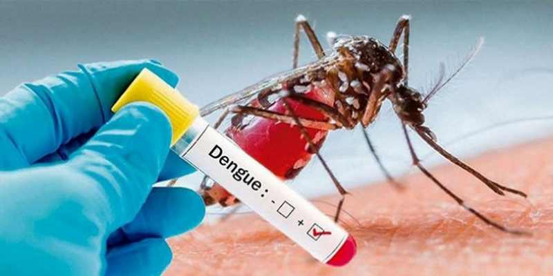 Dalam Sehari, Bangladesh Catat 463 Infeksi DBD Baru