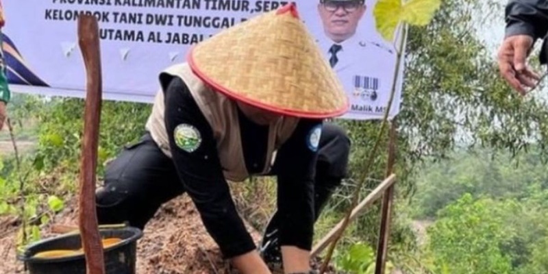 Lahan Bekas Tambang Sukses Genjot Produksi Pangan di Kaltim