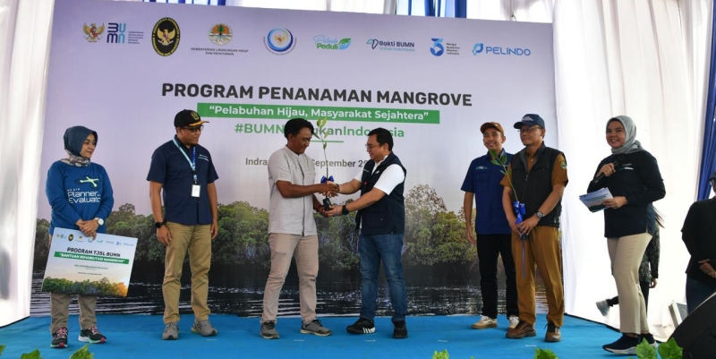 Pelindo Rehabilitasi Mangrove Ratusan Hektare