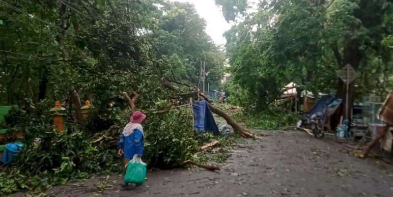 Muara Enim Diterjang Puting Beliung, Puluhan Atap Rumah Rusak