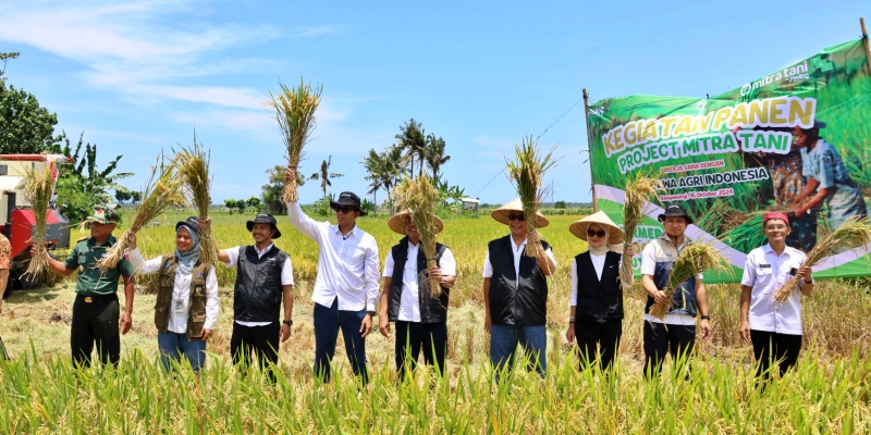 Program Mitra Tani Bulog Serap Panen Petani di Banyuwangi