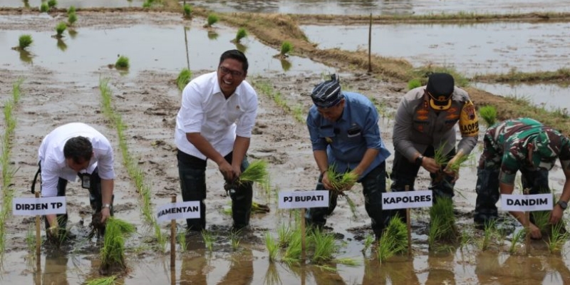 Kejar Masa Tanam, Wamentan: Tata Kelola Pupuk Perlu Diperbaiki agar Sampai ke Petani