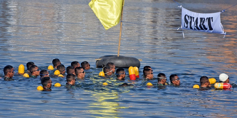 Renang Laut Seribu Meter