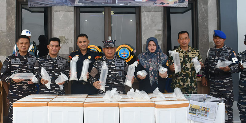 TNI AL Gagalkan Penyelundupan Ribuan Benih Bening Lobster di Lampung