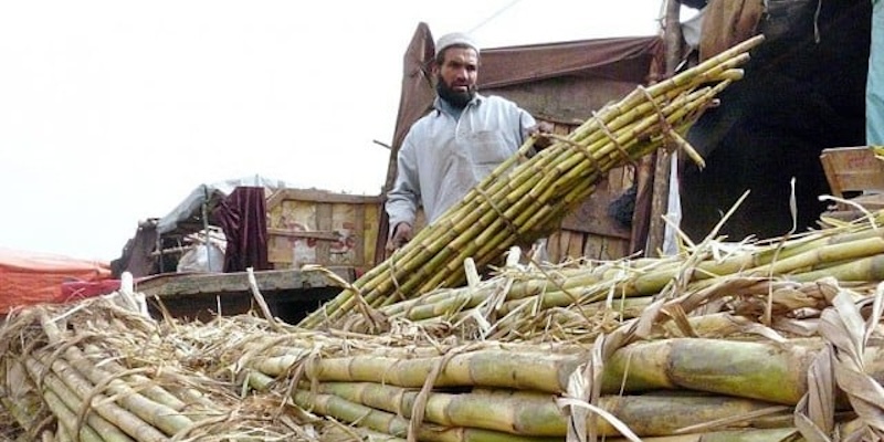 Pemerintah Disalahkan, Membiarkan Petani Tergantung Eksploitasi Industri