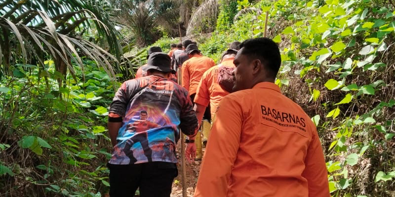 Tiga Hari Hilang di Hutan, Warga Labuhanbatu Utara Ditemukan Selamat