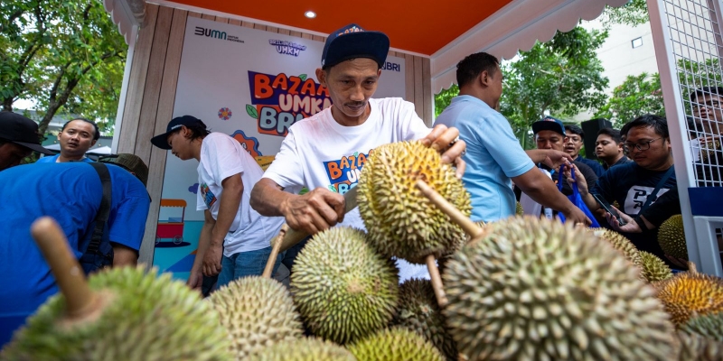 Kelompok Petani Durian di Pekalongan Berkembang Berkat KUR BRI