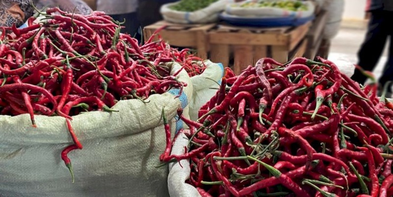 Stok Melimpah, Harga Cabai Keriting Terjun Bebas di Banda Aceh