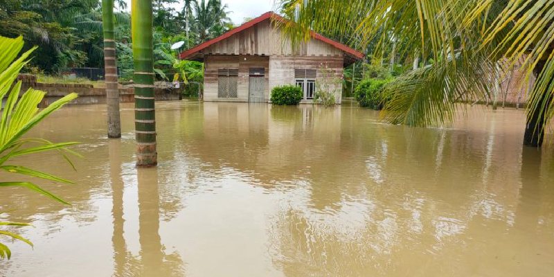 Banjir Rendam 37 Gampong dan Ratusan Hektare Sawah di Aceh Utara