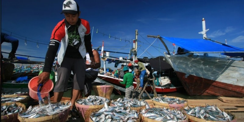 Pemuda Harus Dilibatkan dalam Sektor Pangan Laut