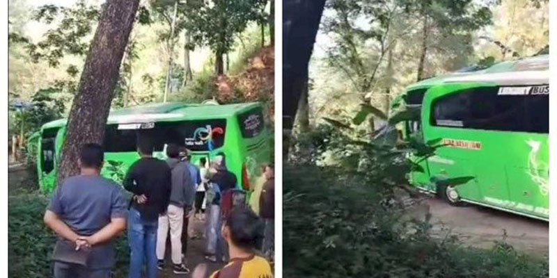 Google Map Bikin Bus Pariwisata Nyasar ke Hutan