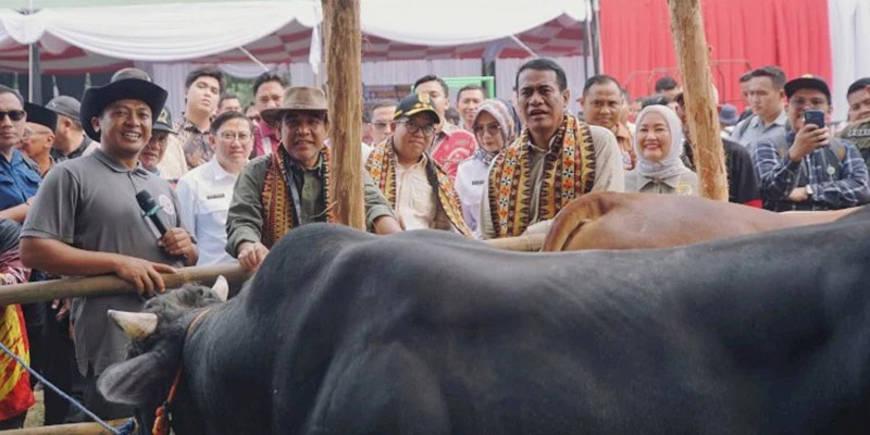 Mentan Respons Cepat Masalah Irigasi dan Pupuk di Lampung