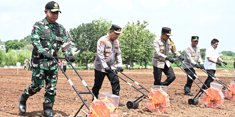 Kapolri dan Panglima TNI Tinjau Lahan Ketahanan Pangan Sambil Tanam Jagung