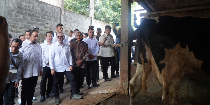 Temui Peternak Sapi Boyolali, Zulhas Jamin Susu Perah Diserap Importir