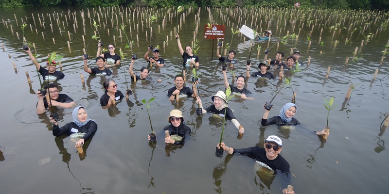 Aksi Nyata IKA Usakti Selamatkan Bumi Lewat Tanam Mangrove