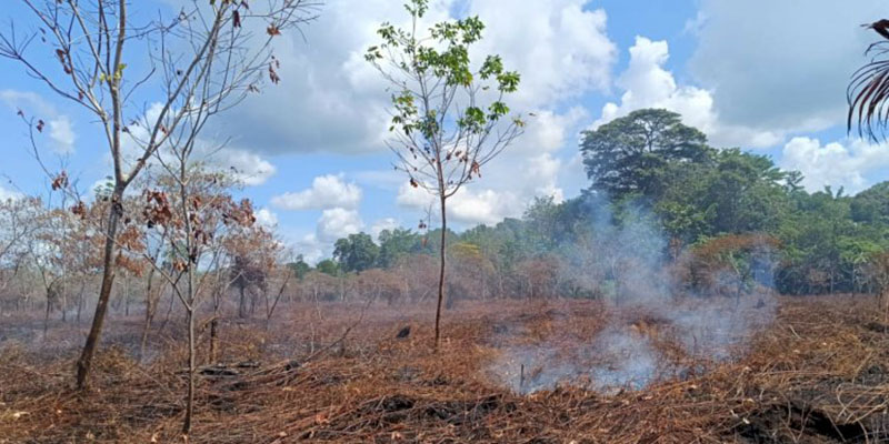 Belum Sepenuhnya Padam, Titik Api Kembali Muncul di Lokasi Karhutla Aceh Barat