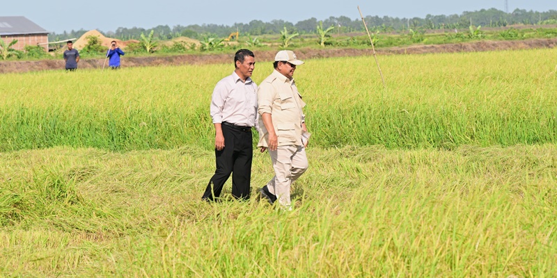 Kunjungan Prabowo ke Merauke Langkah Vital Capai Ketersediaan Pangan