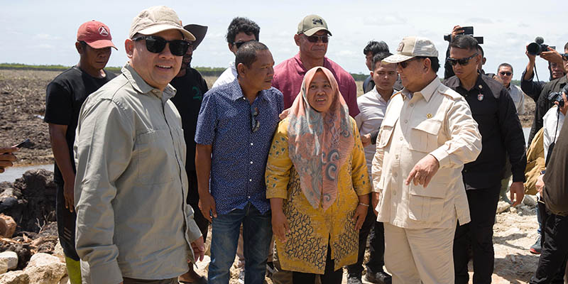 Prabowo Percepat Proyek Cetak Sawah 1 Juta Hektare di Wanam