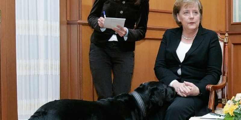 Putin Bantah Sengaja Takuti Kanselir Jerman Angela Merkel dengan Anjing Labrador